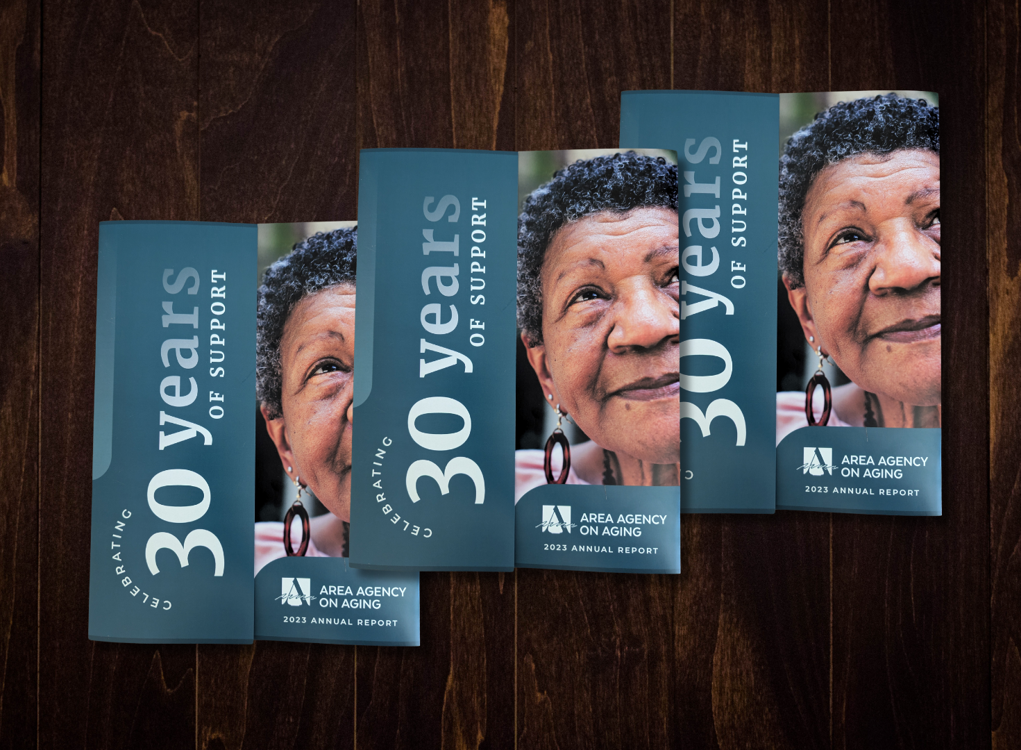 Covers of 2023 Area Agency on Aging Annual Report