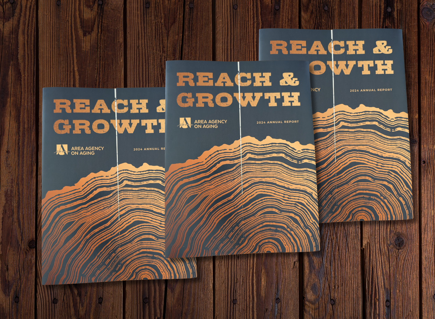 Covers of 2023 Area Agency on Aging Annual Report
